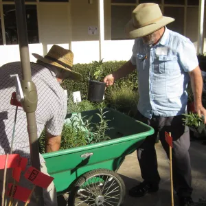 2017 Fall Plant Sale Preview Party