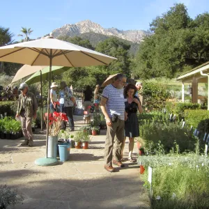 2017 Fall Plant Sale Preview Party