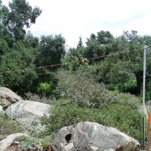 Story poles, Manzanita Section, Vital Mission Plan