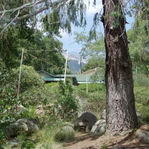 Story poles, Manzanita Section, Vital Mission Plan