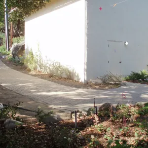 Story Poles, around Cottage, Vital Mission Plan