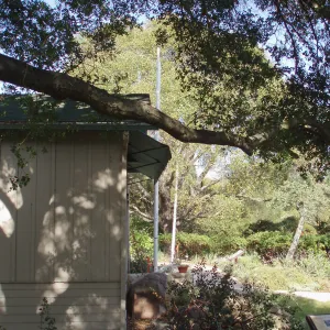 Story Poles, around Cottage, Vital Mission Plan