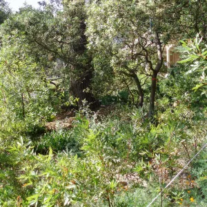 Story Poles, Arroyo Section, Vital Mission Plan
