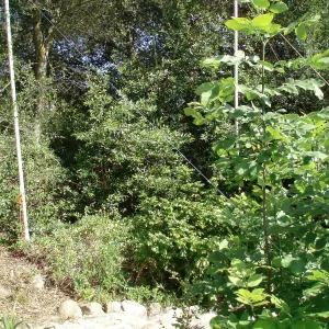 Story Poles, Arroyo Section, Vital Mission Plan