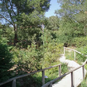 Story Poles, Arroyo Section, Vital Mission Plan