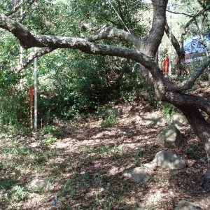 Story Poles, Arroyo Section, Vital Mission Plan