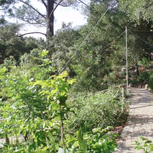 Story Poles, Arroyo Section, Vital Mission Plan