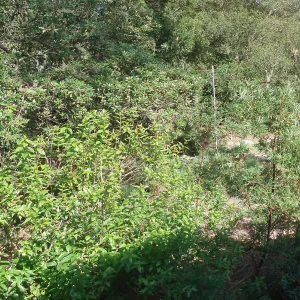 Story Poles, Arroyo Section, Vital Mission Plan