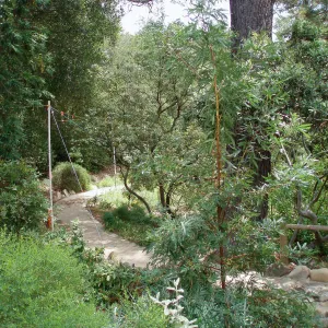Story Poles in Arroyo Section, Vital Mission Plan