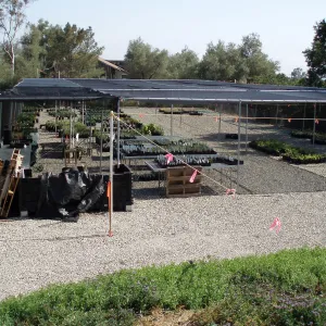 Story Poles, Garden Growers Canyard, Vital Mission Plan