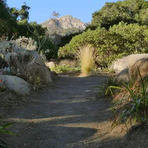 Looking north across Manzanita section towards Arlington Peak