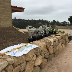 Planting the Island View Garden at the Pritzlaff Conservation Center