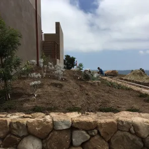 Planting the Island View Garden at the Pritzlaff Conservation Center