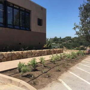 North side Island View Garden construction