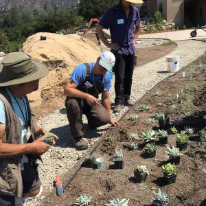 Planting the Island View Garden around the new lawn