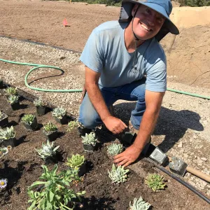 Planting the Island View Garden around the new lawn. Tony Lee