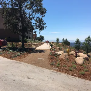 Island View Garden west side looking toward ocean and Santa Cruz Island