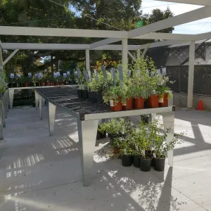 New shade structure at Garden Growers Nursery