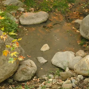 Ash from Thomas Fire on pool below Dam in Mission Creek