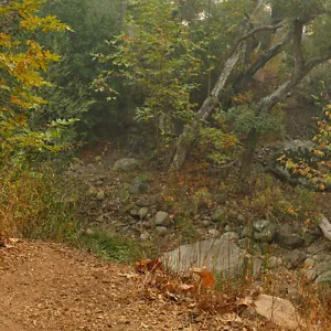 Audrey's Place bench in smoke from Thomas Fire
