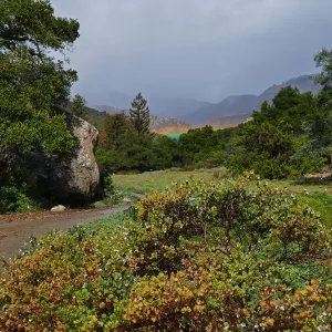 Low rainbow over the Meadow