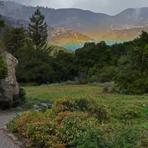 Low rainbow over the Meadow