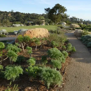 Island View Garden