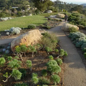 Island View Garden