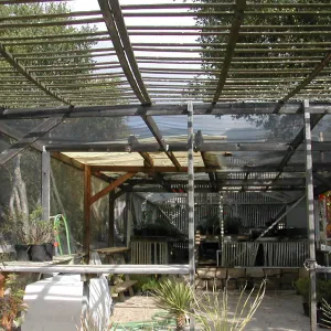 Arbor Terrace looking north