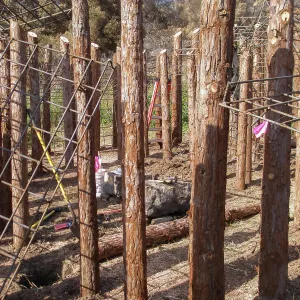 Herb Parker's â€˜Haven' labyrinth installation