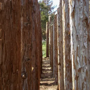 Herb Parker's â€˜Haven' labyrinth installation