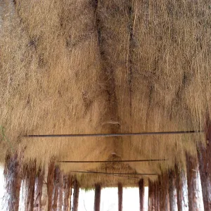 Herb Parker's â€˜Haven' labyrinth installation