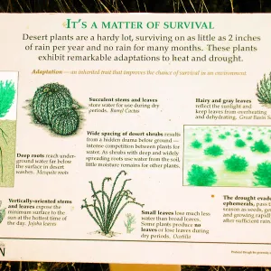 â€œIt's a Matter of Survivalâ€ interpretive sign