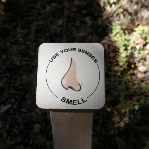 â€œUse Your Senses: Smellâ€ sign