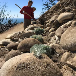 Martin Luther King Day of Service at the Ventura Botanical Garden
