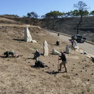 Martin Luther King Day of Service at the Ventura Botanical Garden