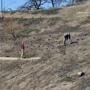 Martin Luther King Day of Service at the Ventura Botanical Garden