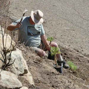 Martin Luther King Day of Service at the Ventura Botanical Garden