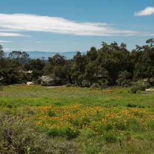 Looking south across Meadow to the Channel Islands