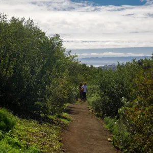 Southwest Trail, looking south