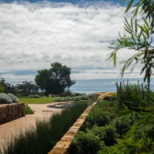 Island View Garden looking south