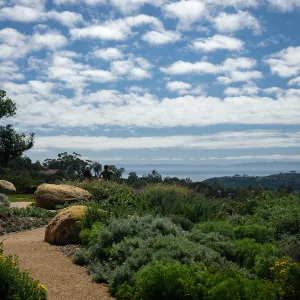 Island View Garden and Channel Islands