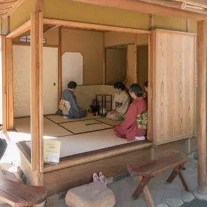 Tea Ceremony at ShinKanAn Teahouse