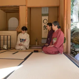 Tea Ceremony at ShinKanAn Teahouse