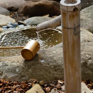 Tea Ceremony at ShinKanAn Teahouse