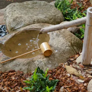 Tea Ceremony at ShinKanAn Teahouse