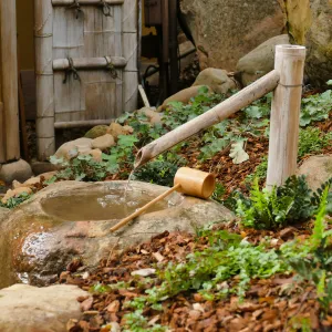 Tea Ceremony at ShinKanAn Teahouse