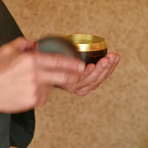 Tea Ceremony at ShinKanAn Teahouse