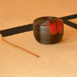 Tea Ceremony at ShinKanAn Teahouse
