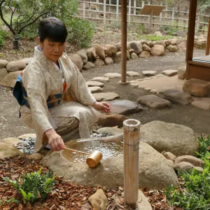 Tea Ceremony at ShinKanAn Teahouse